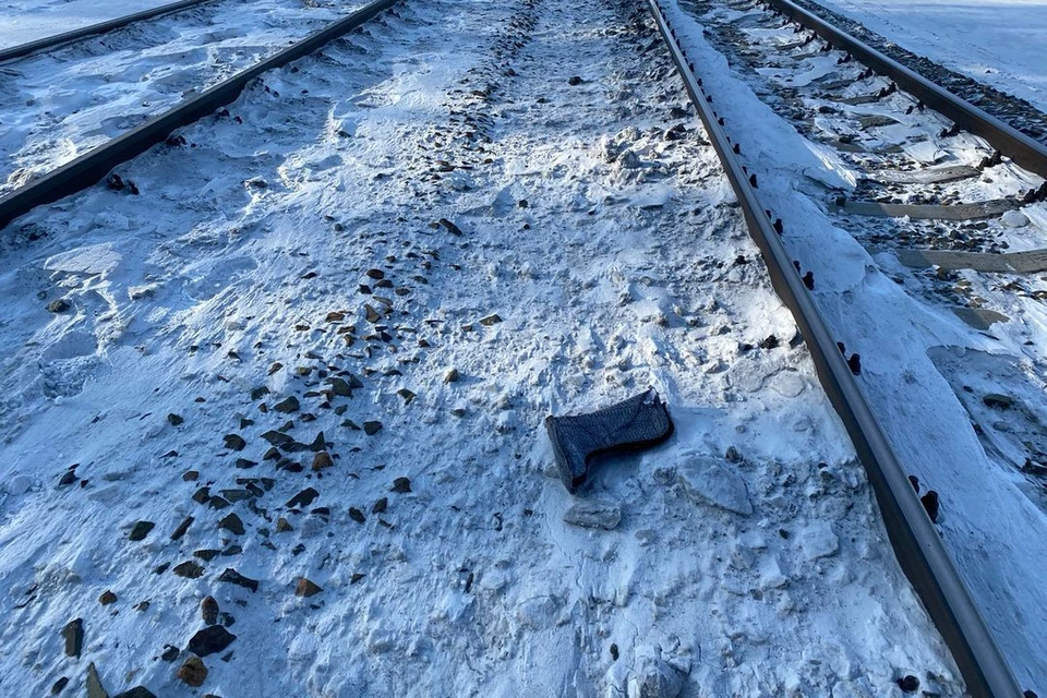 Погибли под поездом фото Житель Алтайского края погиб под колесами поезда в Новосибирской области - KP.RU