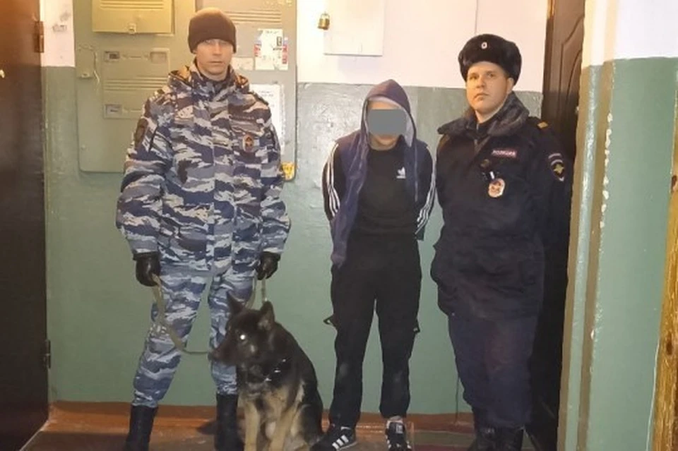 Жителя Рязанской области задержали за грабеж и кражу в крупном размере. Фото: УМВД РФ по Рязанской области.