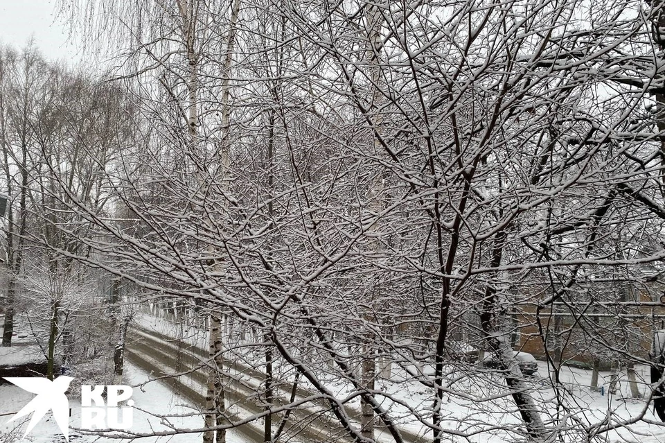 В Рязанской области ожидается небольшой снег и туман.