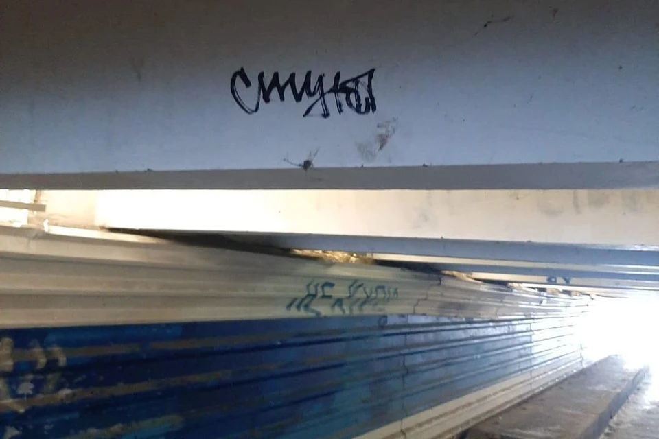 Неизвестные изуродовали стены подземного пешеходного перехода в городе Обь. Фото: ТУАД