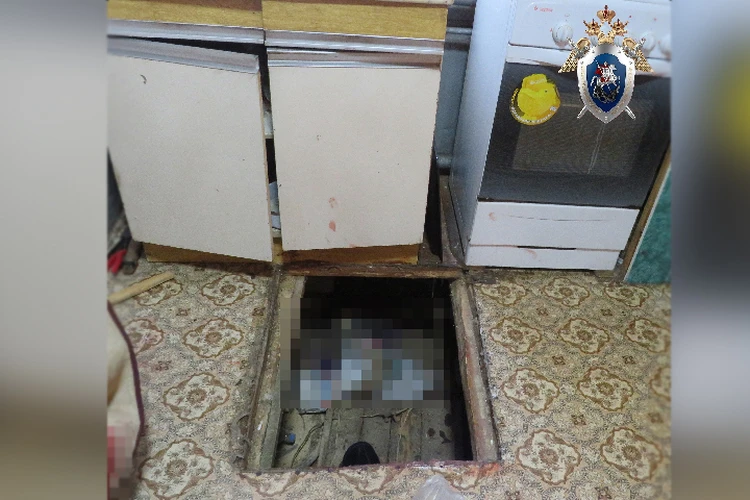 Окровавленное тело в погребе нашла жена: гость зарезал хозяина дома в Кулебаках и пытался замести следы преступления