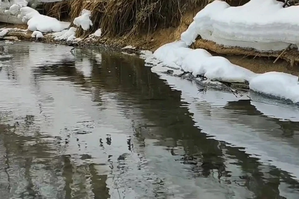 Ручей, впадающий в Волгу, загрязняют сточными водами. ФОТО: ОНФ по Ярославской области