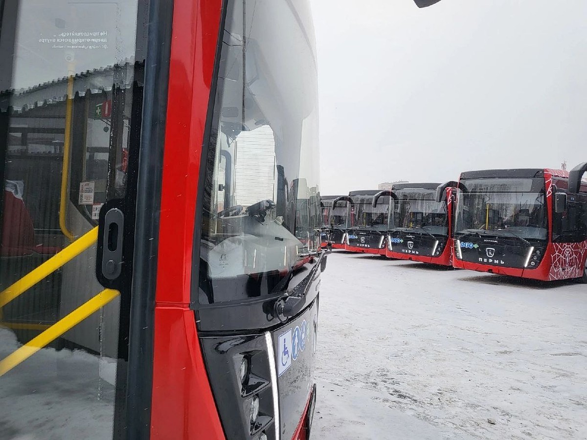 В Перми на время ремонта путей по улице Куйбышева вместо трамваев запустят  автобусы - KP.RU