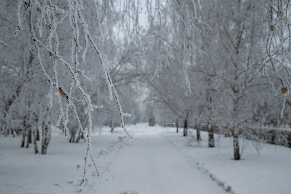 В Красноярске на выходных потеплеет до -4 градусов