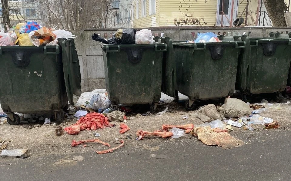 Такая картина пугает прохожих.