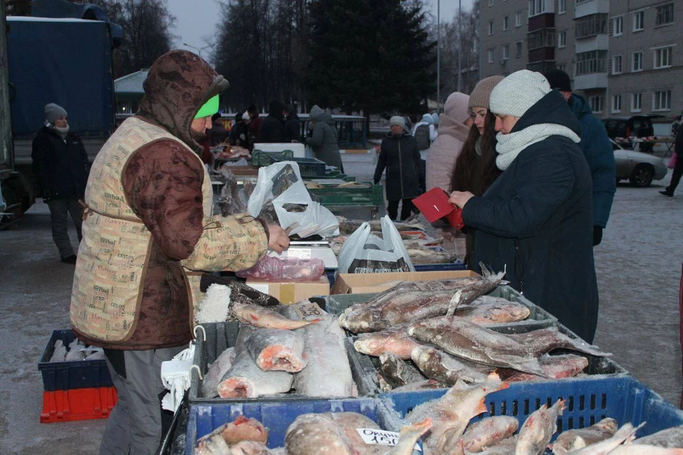 ФОТО: телеграм-канал минсельхоз Ульяновской области
