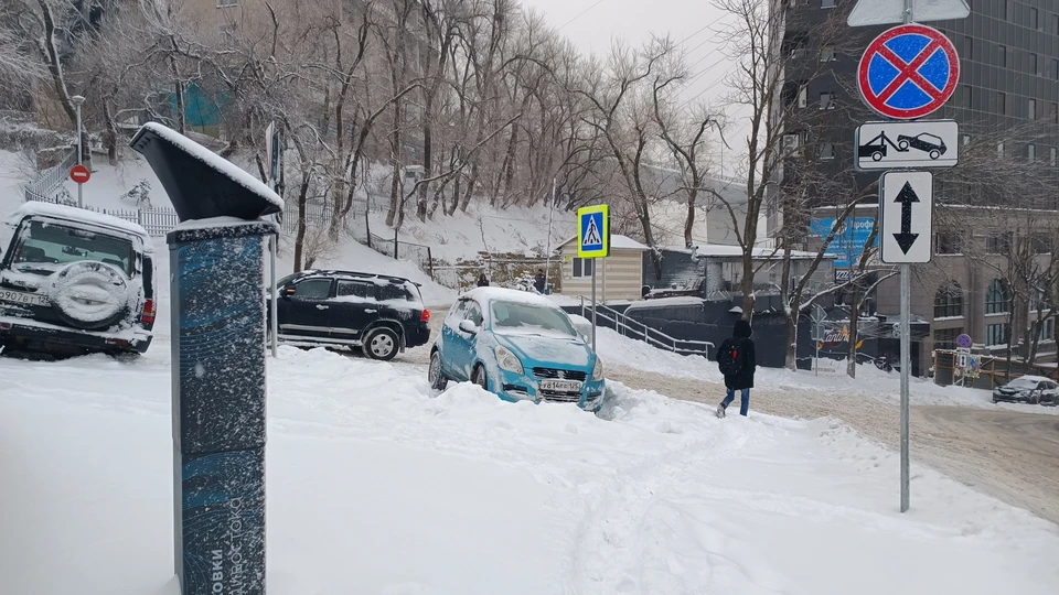 Чтобы Приморье засыпало снегом, необходимо совпадение многих факторов.