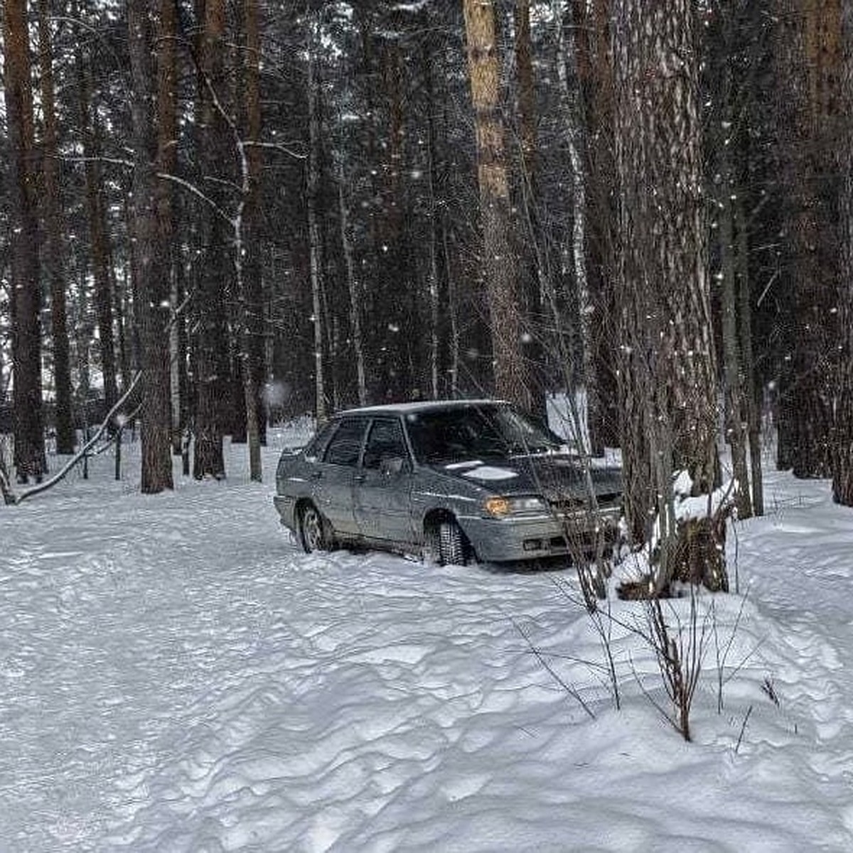 В Екатеринбурге в лесопарке нашли бесхозную машину - KP.RU