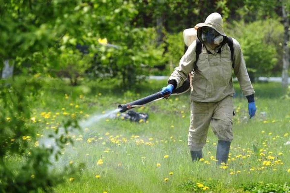 К борьбе с клещами готовятся в Хабаровске Фото: администрация Хабаровска