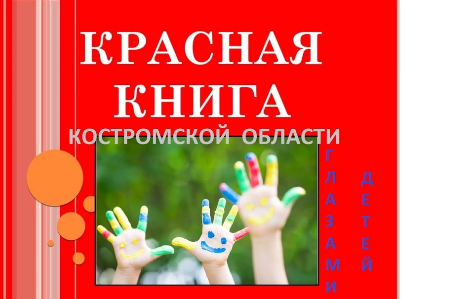 Источник: dpr.kostroma.gov.ru