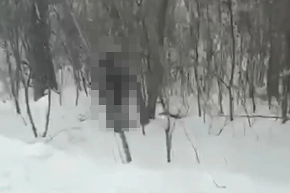 В районной администрации подтвердили смерть ребенка в лесу. Фото: Стоп-кадр из видео АСТ-54.