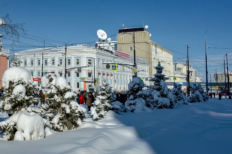 Фото: читатель KP.RU