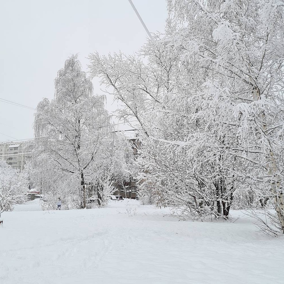 Глубина снега в Нижнем Новгороде после метели в ночь на 8 марта составила  73 см - KP.RU