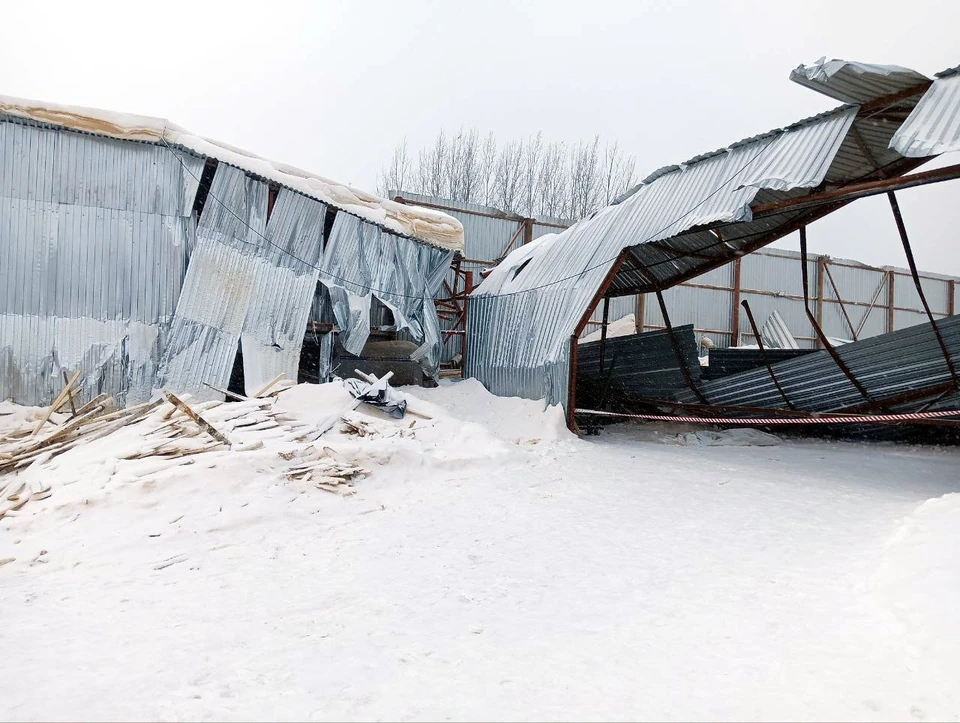 Фото: СУ СК РФ по Вологодской области.