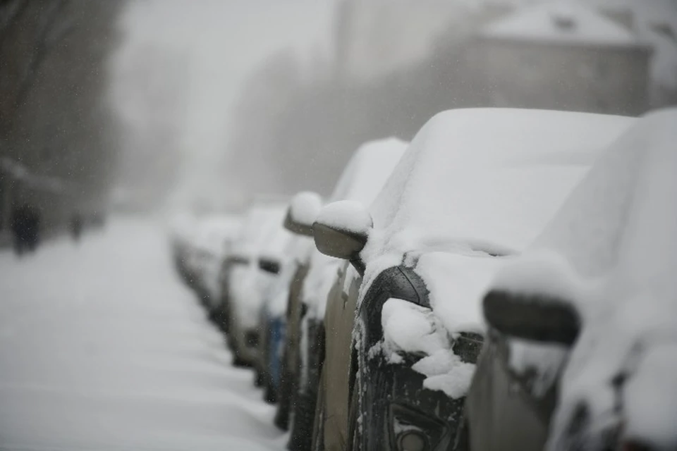 МЧС предупредило ярославцев о сильном ветре, дожде и снеге