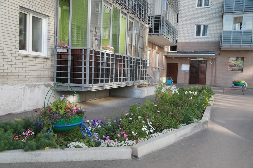 Жители Красноярска могут выиграть грант за озеленение двора