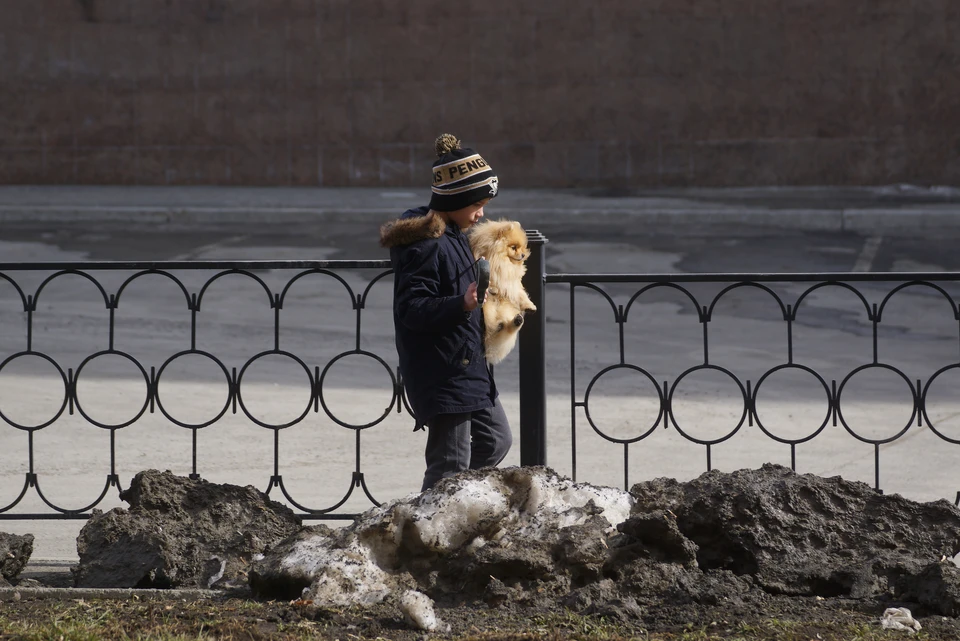 Из-за быстрого потепления в Свердловской области резко начнет таять снег.