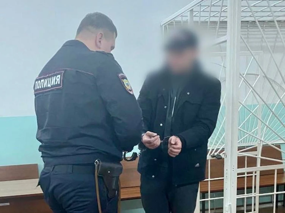 Жителя Красноярска осудили за незаконную вырубку леса и оформление чужих построек на 35 миллионов рублей. Фото: прокуратура края