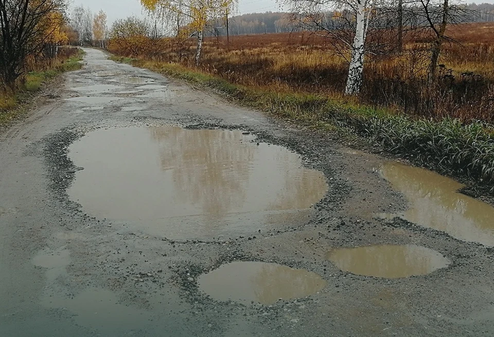 Глава СК РФ Бастрыкин взял на контроль проверку состояния дороги в Веневском районе Тульской области