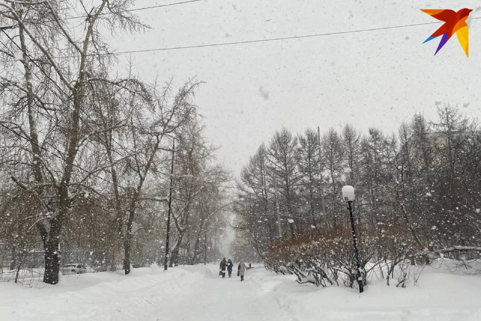 В Мурманско области сохраняется зима.