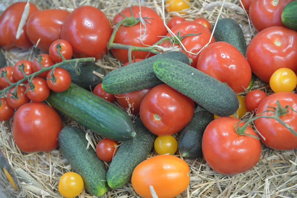 В Волгограде начали дешеветь овощи