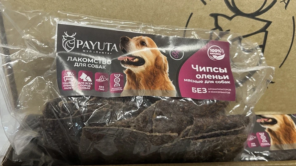 Фото: Правительство ЯНАО