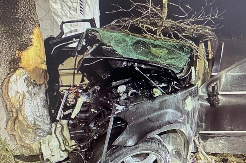 Водитель на скорости врезался в дерево. Фото: пресс-служба ГИБДД по Краснодарскому краю