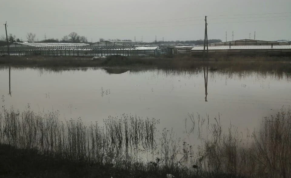 Фото: Департамент ПБ и ГЗ