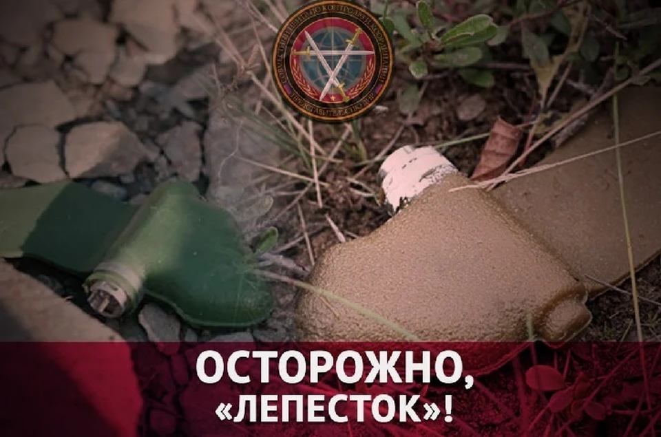 Украинские боевики продолжают дистанционно минировать населенные пункты Республики. Фото: СЦКК ДНР
