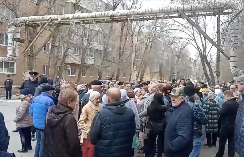 Астраханцы собрались на митинг против бродячих животных