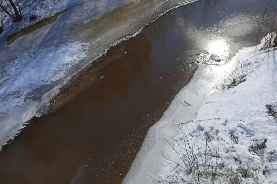 В салоне транспорта находились водитель и пассажир на заднем сиденье. Фото: Елена Шкатова
