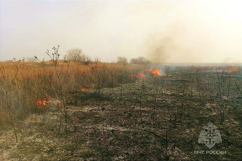 Пожарным приходится ежедневно выезжать на тушение огня на полях и лугах