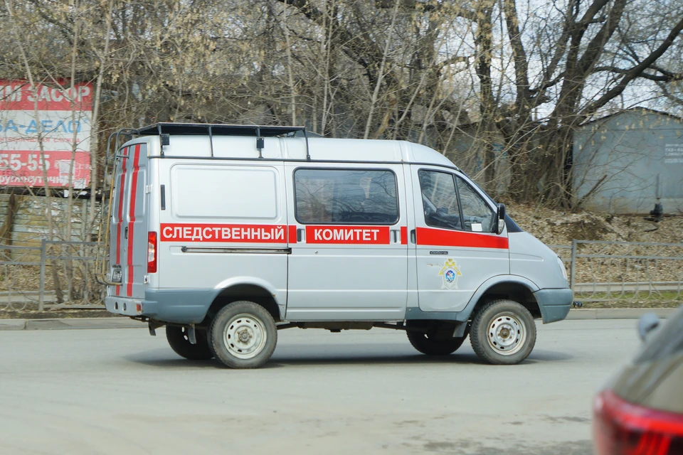 В следствии полагают, что за пострадавшими девочками он заходил в подъезды домов