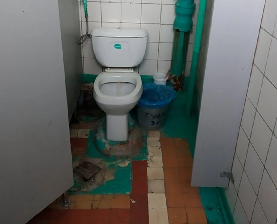 Каждый желающий может принять участие в программе «Терпеть нельзя учиться!» / Фото: Domestos