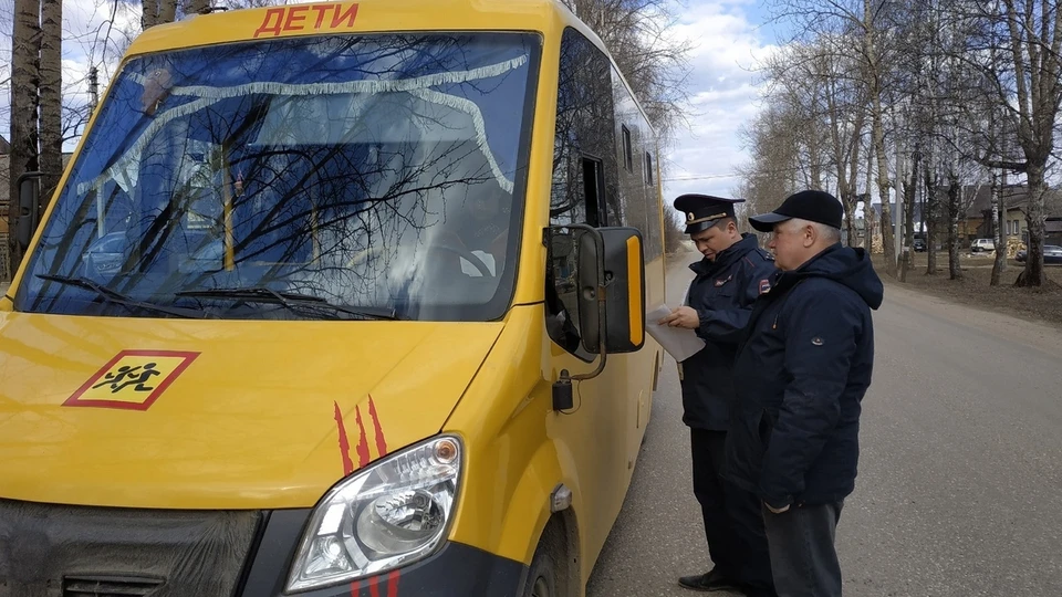 Фото: пресс-служба УГИБДД УМВД России по Костромской области