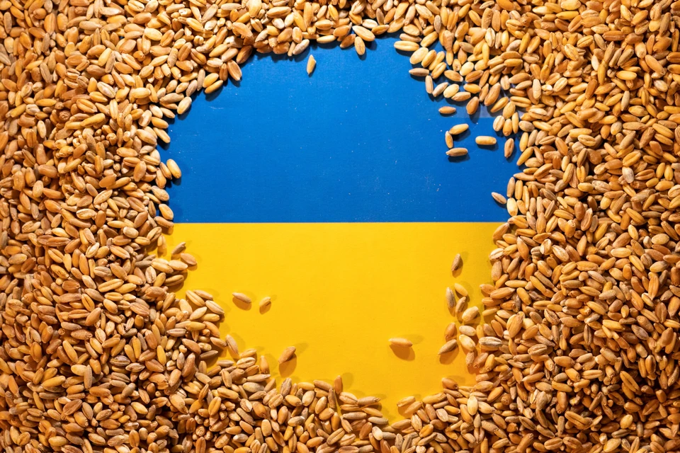Пострадавшая от украинского зернового экспорта Польша, вообще запретила ввоз не только зерна, но и практически всей продукции украинского агропрома.