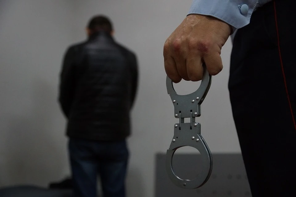 На сегодня полицейские задержали пять фигурантов дела, их заключили под стражу.