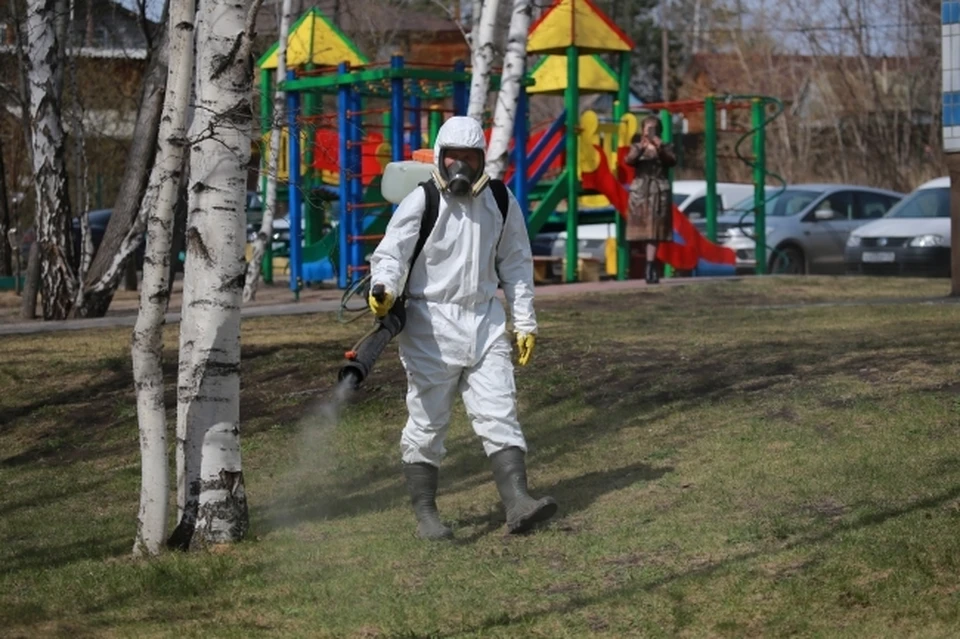 С весной проснулся энцефалит. Иллюстрация из архива.