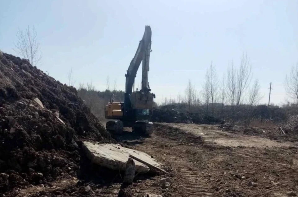 Разрешения на использование лесного участка минлесхозом юридическому лицу не выдавались. Фото: предоставлено "Комсомолке"