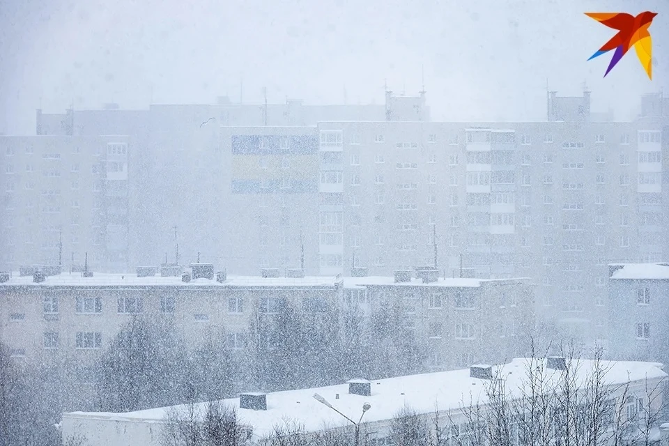 Фото: Антон ЗАБИРОВ