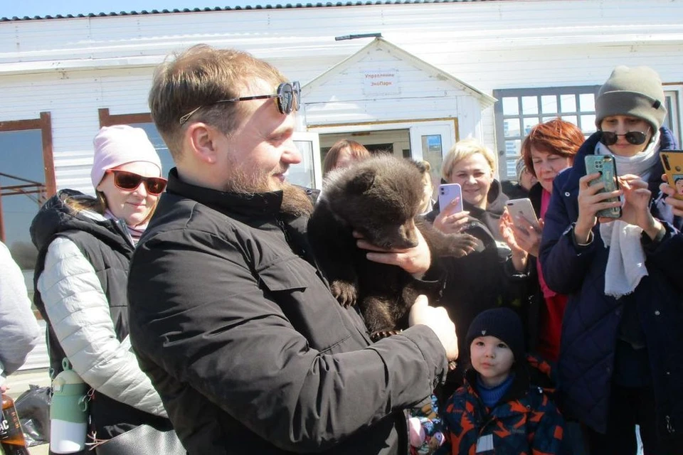 В Новосибирске общегородском субботнике спасли 3-месячного медвежонка. Фото: Дмитрий Шахов