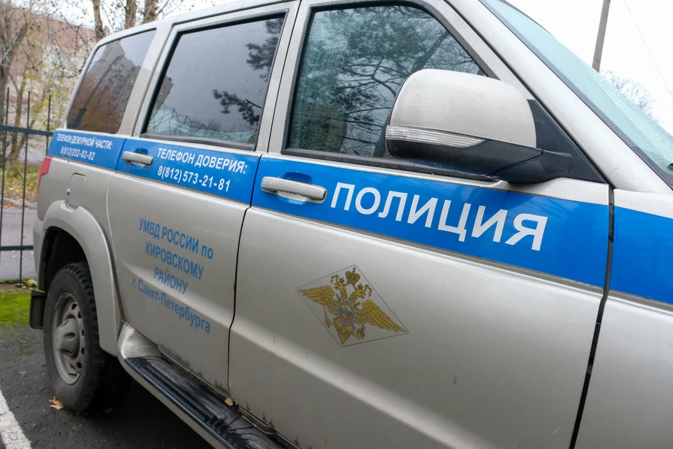 В парке Петергофа нашли кости человека
