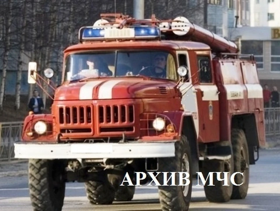 Фото: пресс-служба ГУ МЧС России по Костромской области