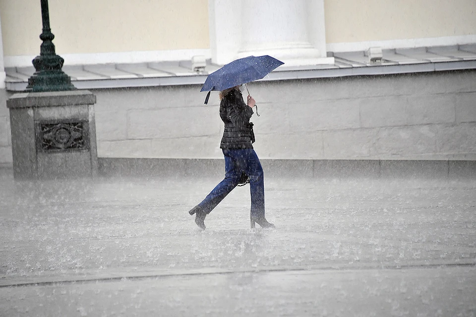 Дождь и ветер. Дождливый май. Дождь в Москве. Дождь в мае.