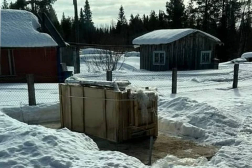 Уже несколько месяцев холодильная камера для тел умерших находится на улице. Фото: "Народный фронт" в Мурманской области
