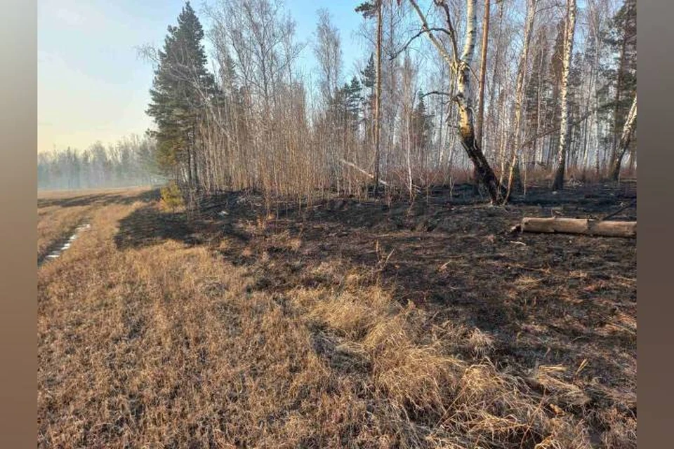 Три лесных пожара потушили в Иркутской области 30 апреля 2023 года
