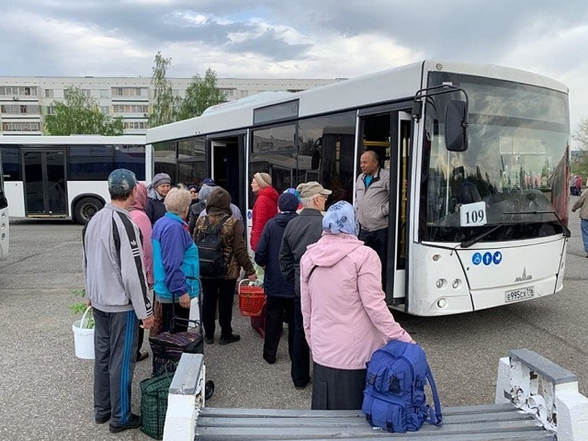 В Набережных Челнах стартовали перевозки в садовые общества: подробное  расписание автобусов - KP.RU