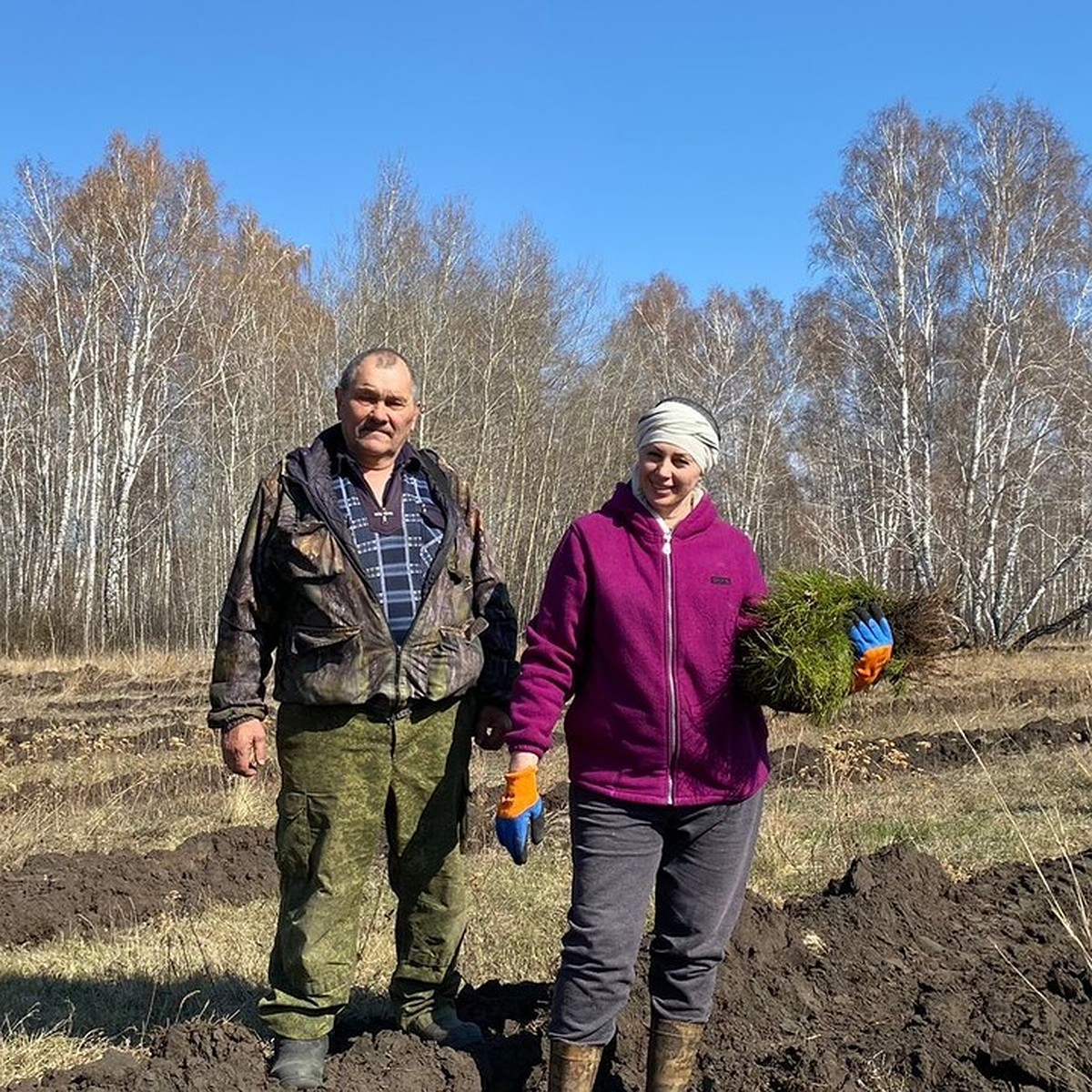 Умирать нам рановато». На Алтае егерь продолжает сажать бор, исчезнувший в  войну - KP.RU