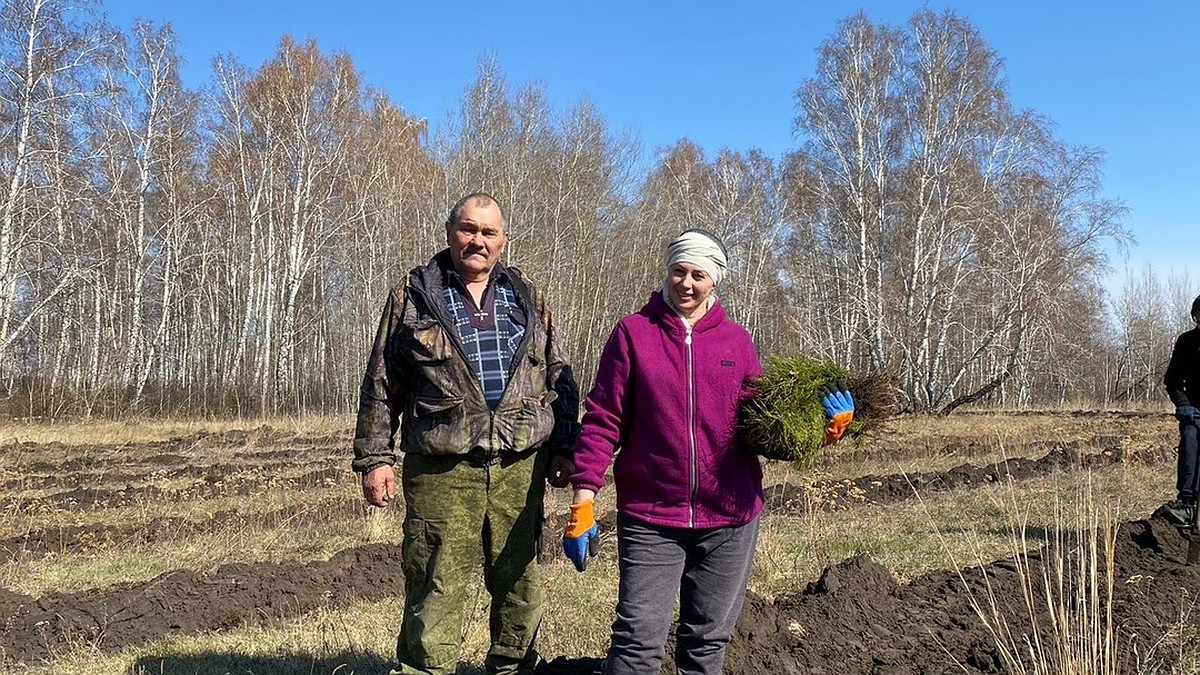 Умирать нам рановато». На Алтае егерь продолжает сажать бор, исчезнувший в  войну - KP.RU