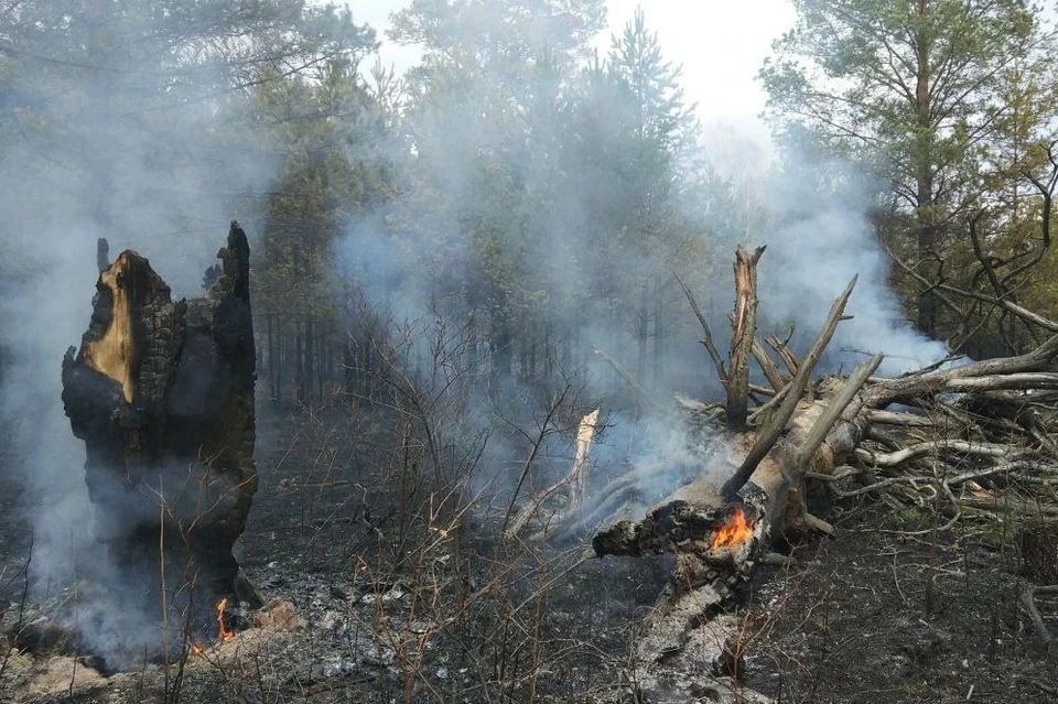 Фото: нацпарк "Зигальга"